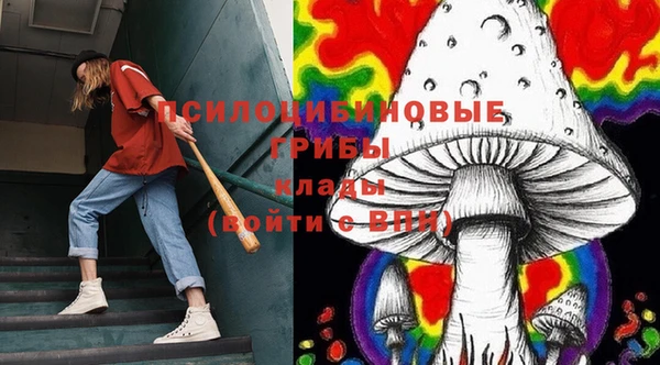 шишки Алзамай