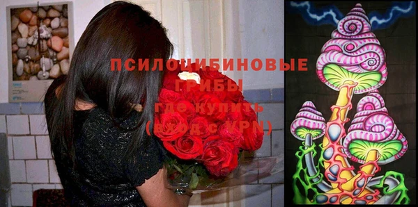 ALPHA PVP Алексин