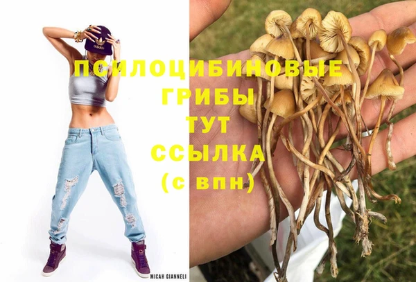 марки nbome Алексеевка