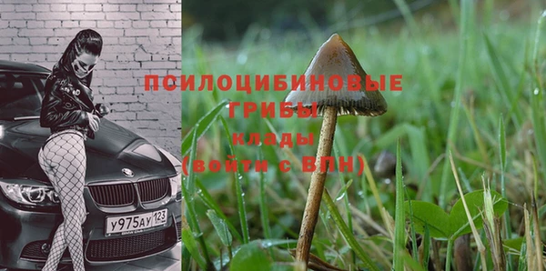 ALPHA PVP Алексин