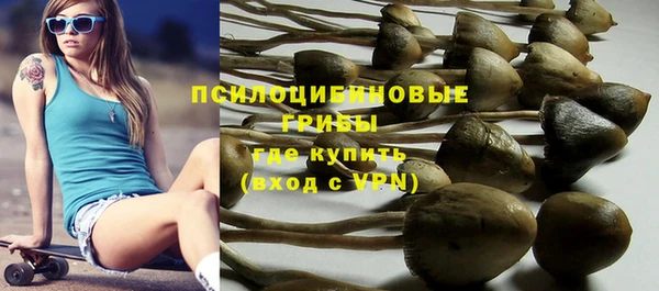 шишки Алзамай