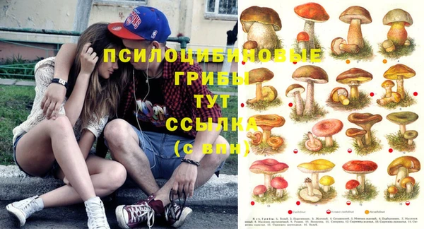 мдпв Рославль