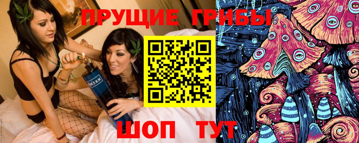 Псилоцибиновые грибы Psilocybine cubensis  Вход с VPN  Саянск 