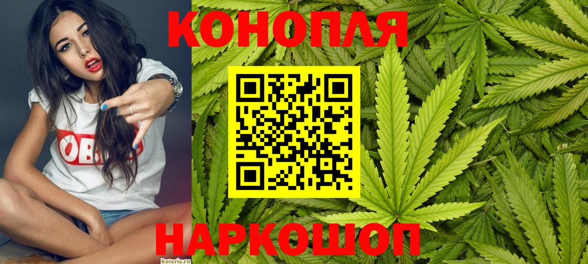 Канабис сатива Саянск